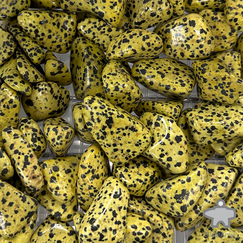 Yellow Dalmatian