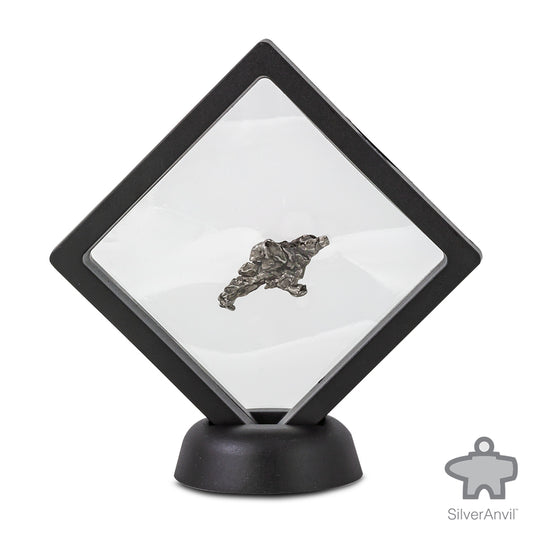 Campo Del Cielo Meteorite