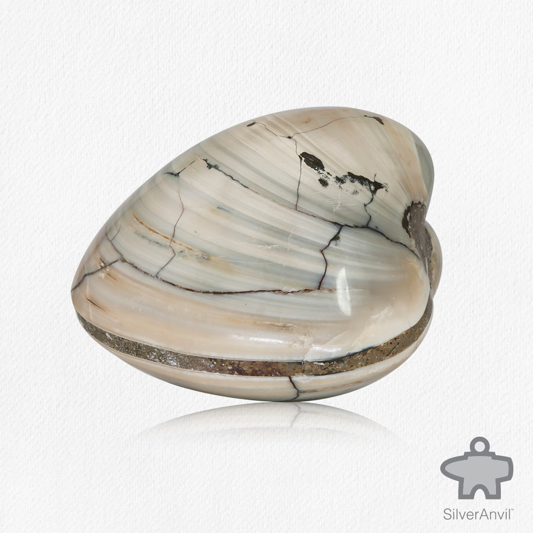 Fossilized Clams