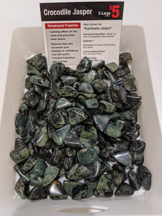 Crocodile Jasper XL