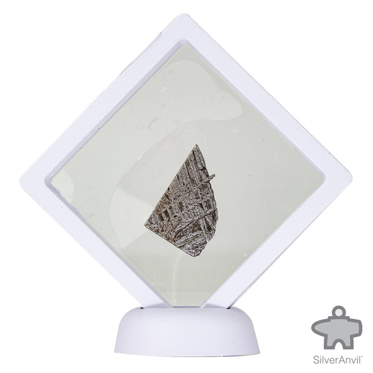 Muonionalusta Meteorite C4996