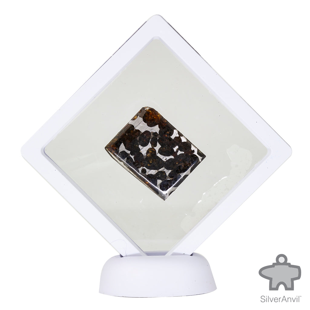 Sericho Pallasite Meteorite