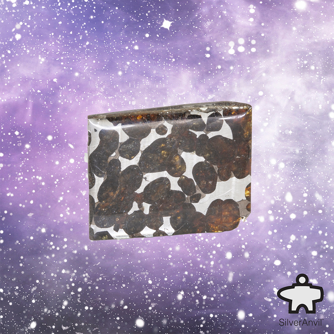 Sericho Pallasite Meteorite