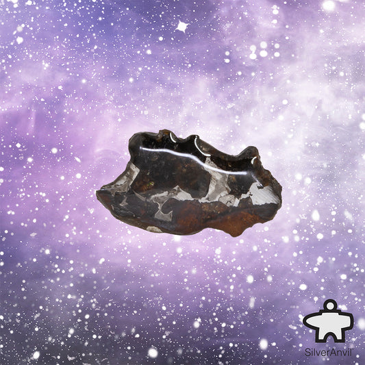 Sericho Pallasite Meteorite C4330