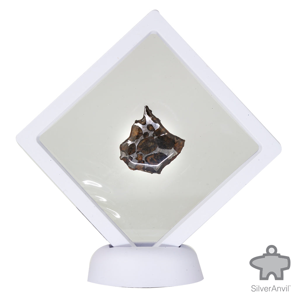 Sericho Pallasite Meteorite