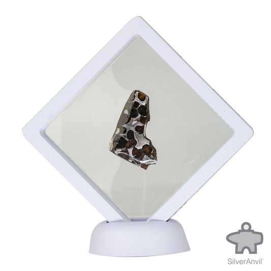 Sericho Pallasite Meteorite C5078