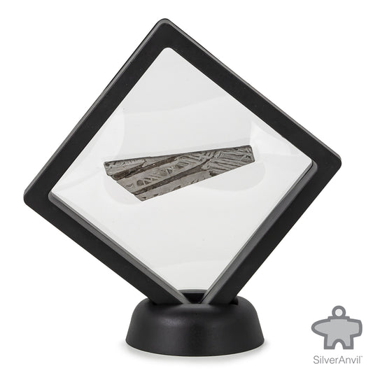 Muonionalusta Meteorite Slice C4660