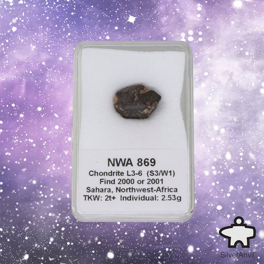NWA Meteorite 2.53g