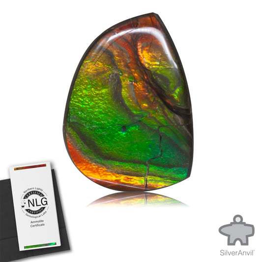 Ammolite Gem #001