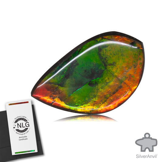Ammolite Gem #003