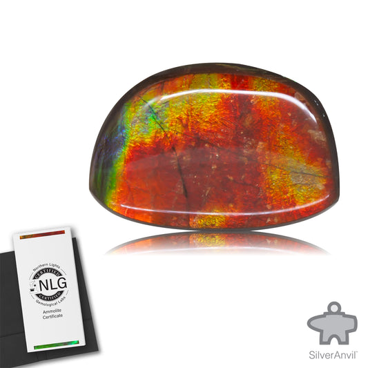 Ammolite Gem #005