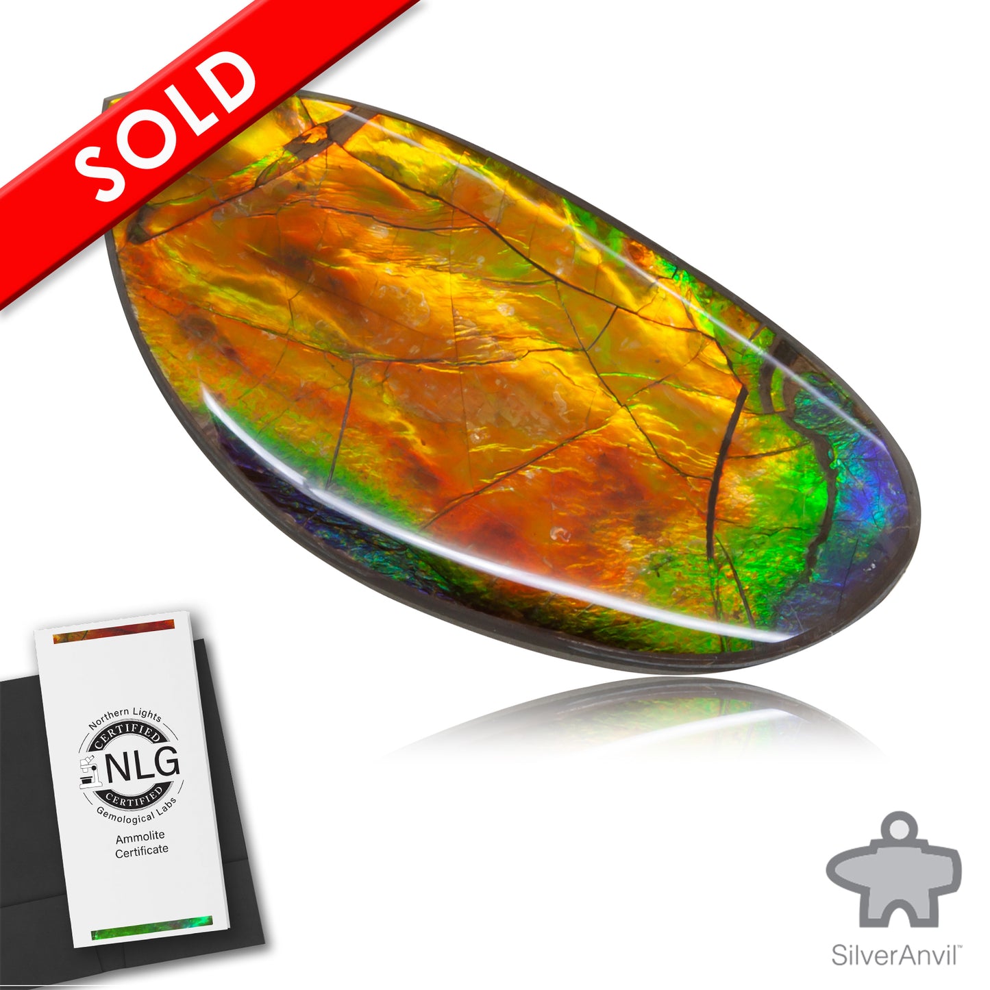 Ammolite Gem #006