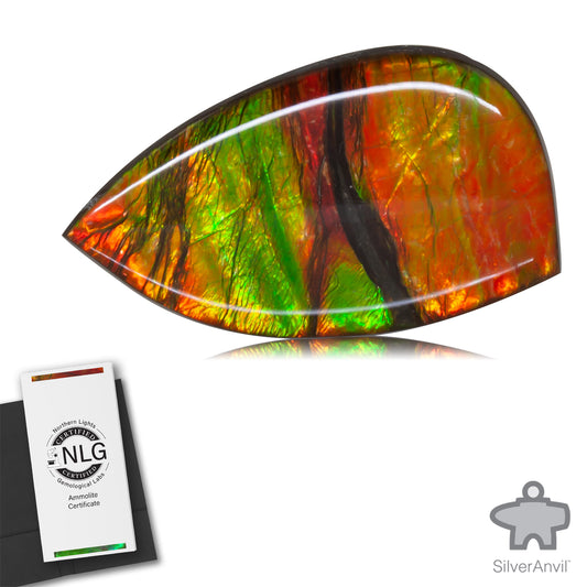 Ammolite Gem #007