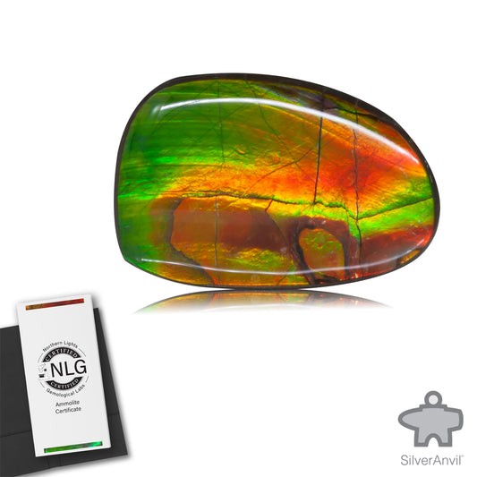 Ammolite Gem #008