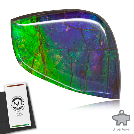Ammolite Gem #010