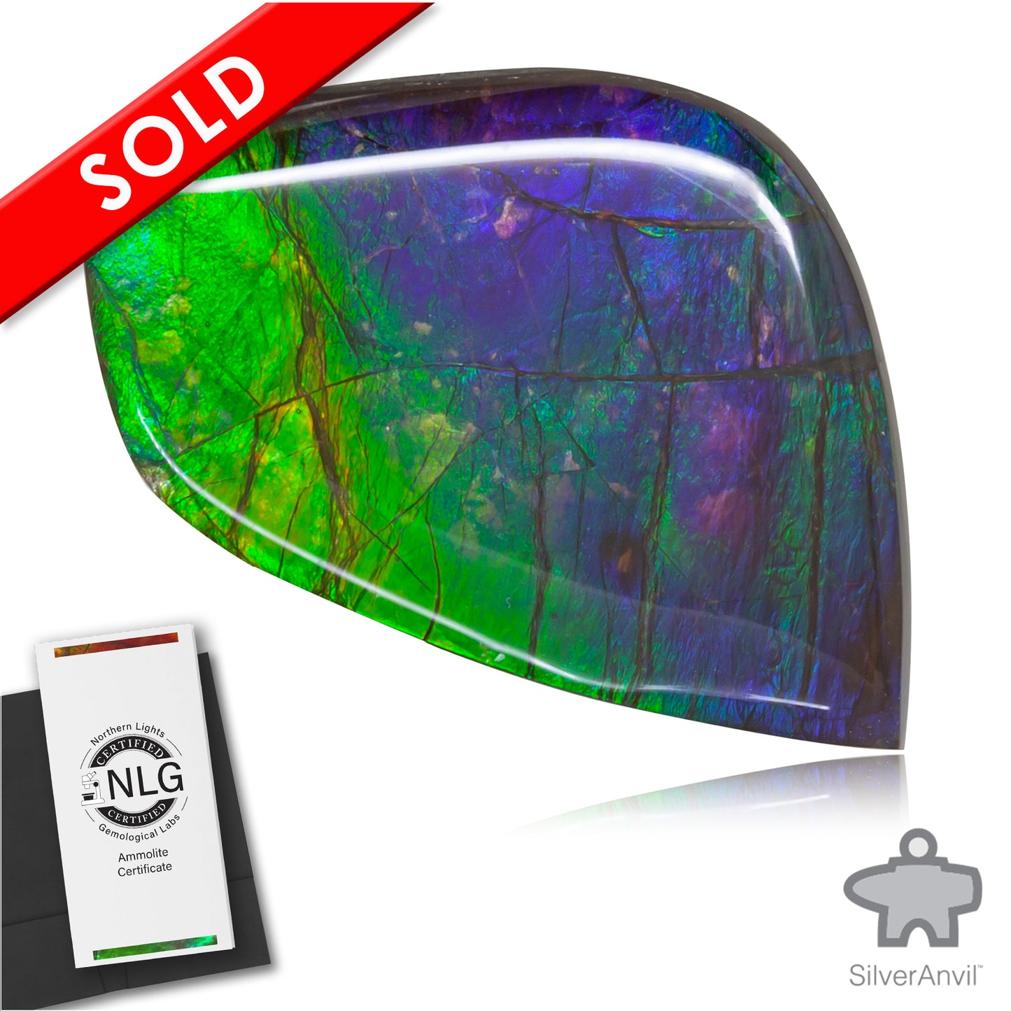 Ammolite Gem #010