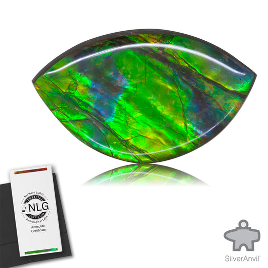 Ammolite Gem #012