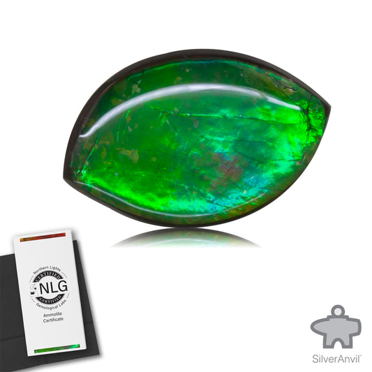 Ammolite Gem #015