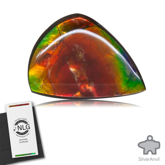 Ammolite Gem #016
