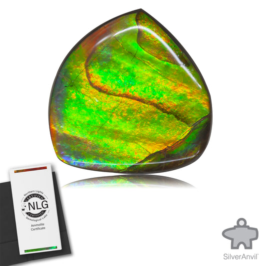 Ammolite Gem #017