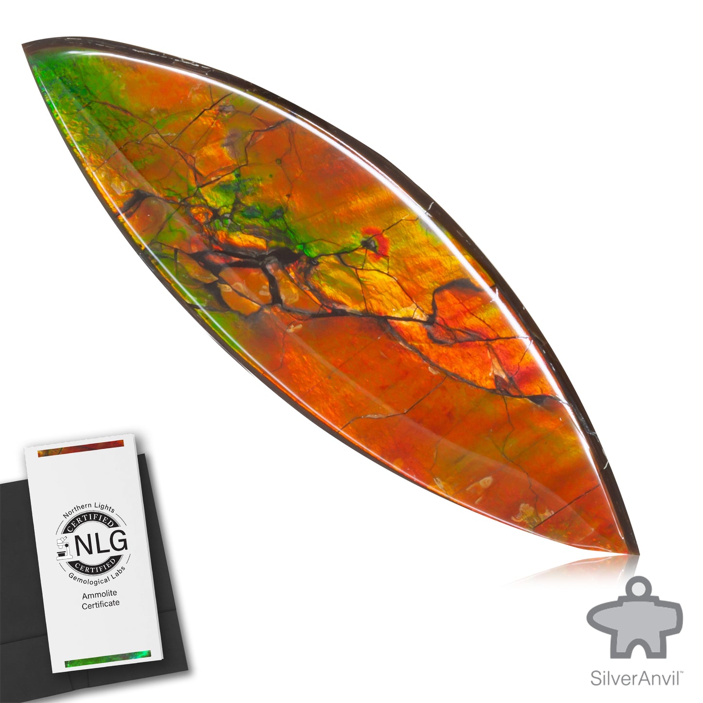 Ammolite Gem #018
