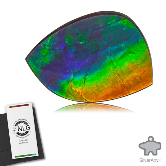 Ammolite Gem #024