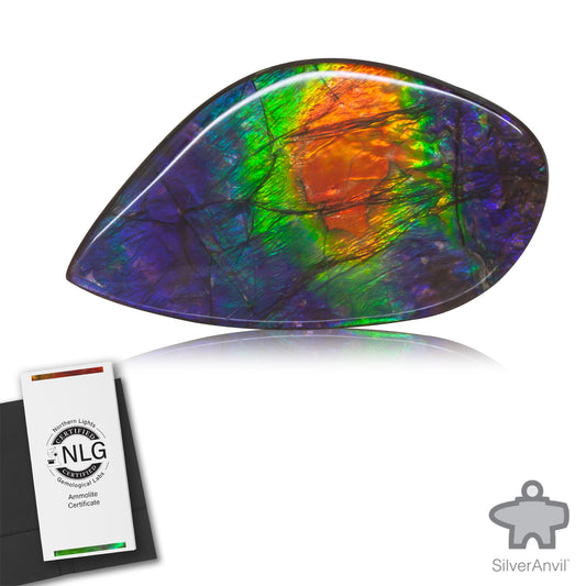 Ammolite Gem #025