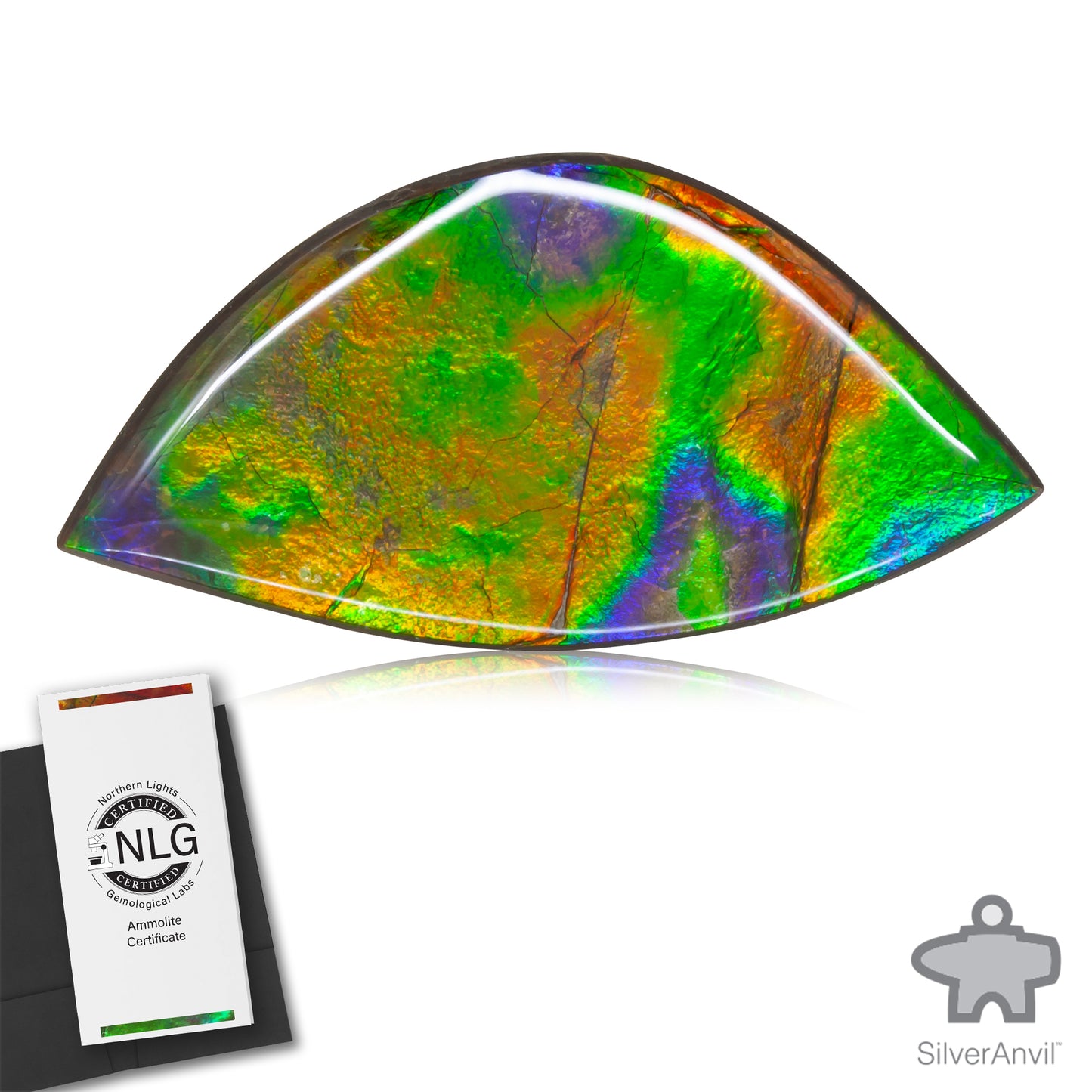 Ammolite Gem #026