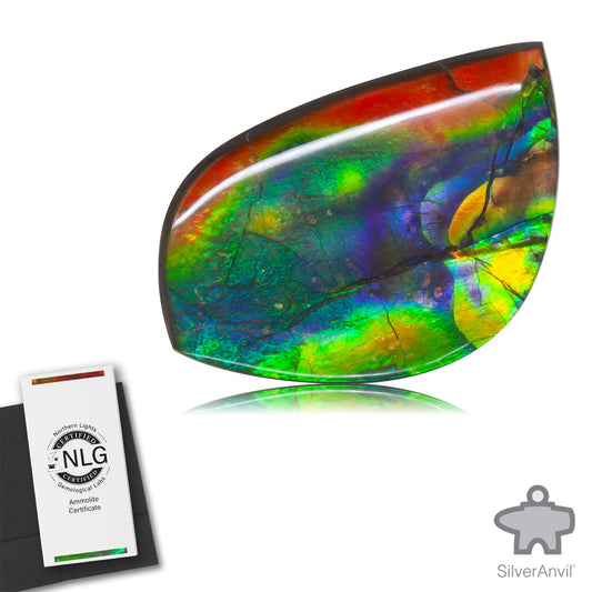 Ammolite Gem #027