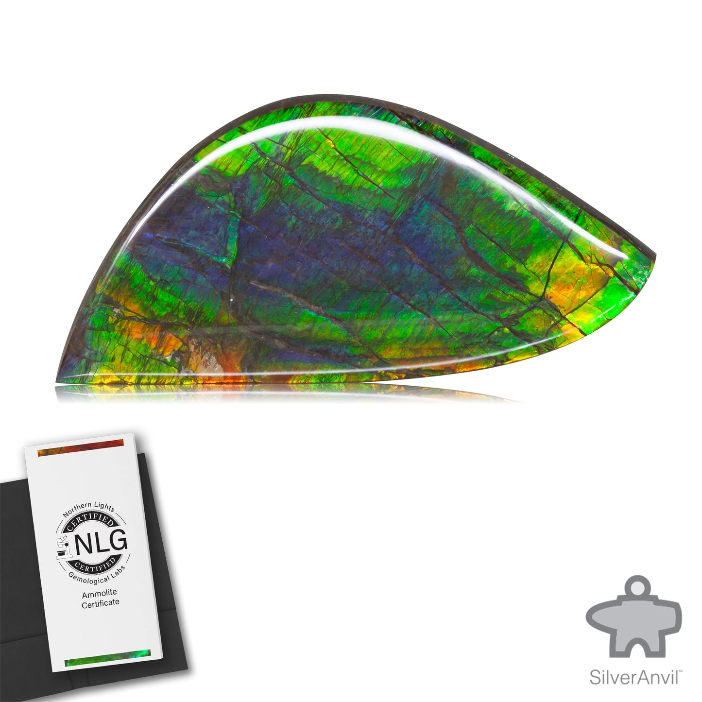 Ammolite Gem #028