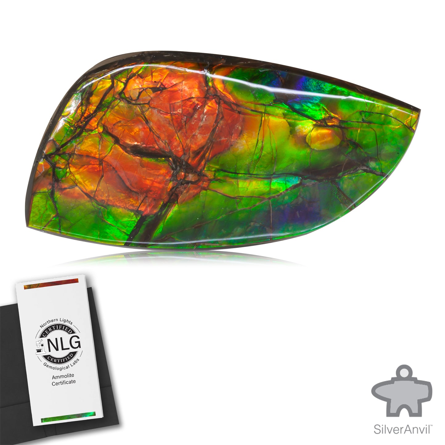 Ammolite Gem #029