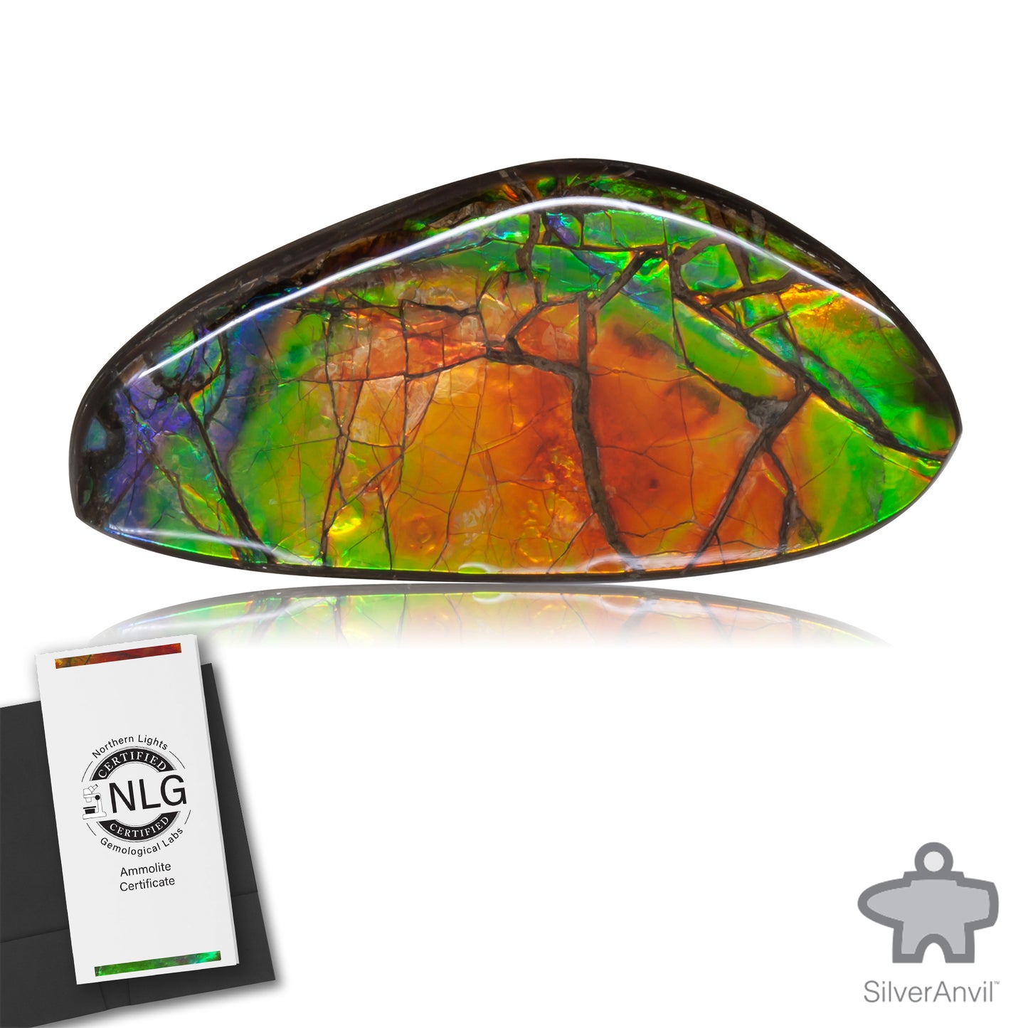 Ammolite Gem #030