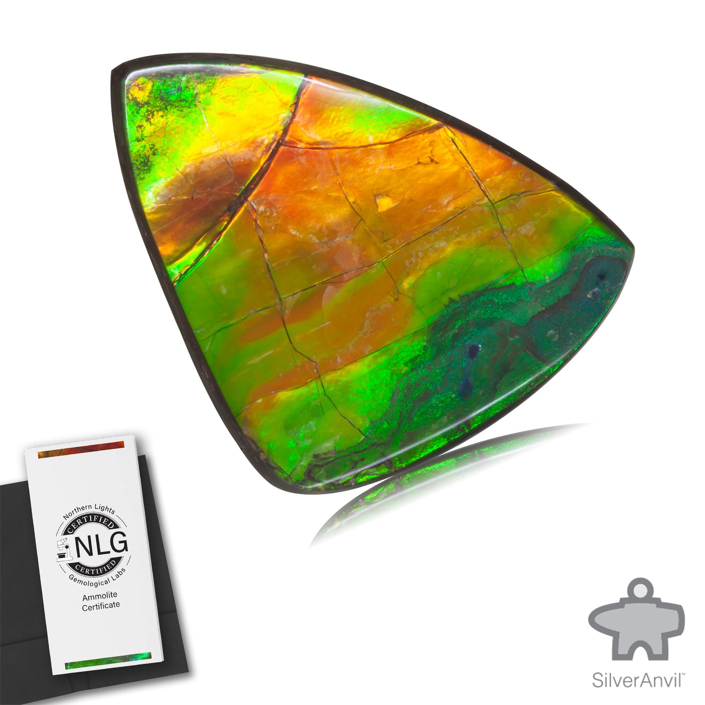 Ammolite Gem #031
