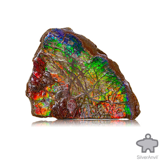 Rough Ammolite 001