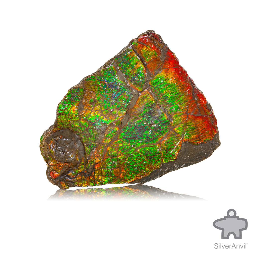 Rough Ammolite 004