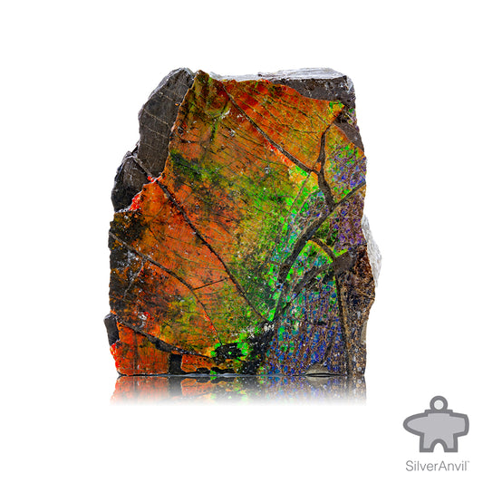 Rough Ammolite 005