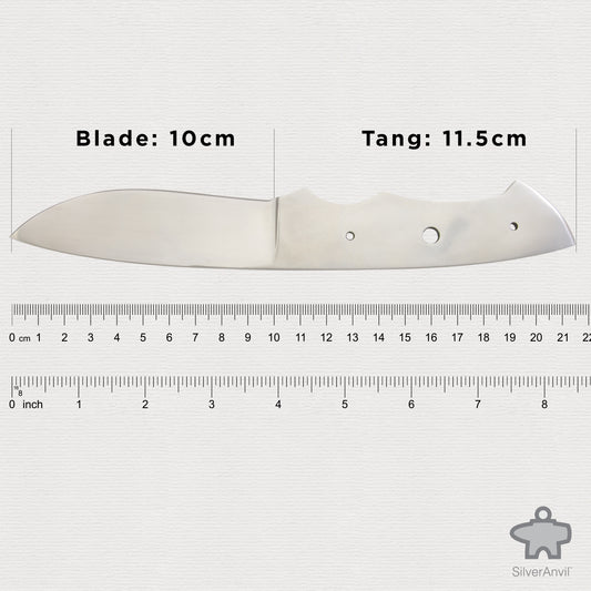 Drop Point Full Tang Knife Blank (21.5cm)