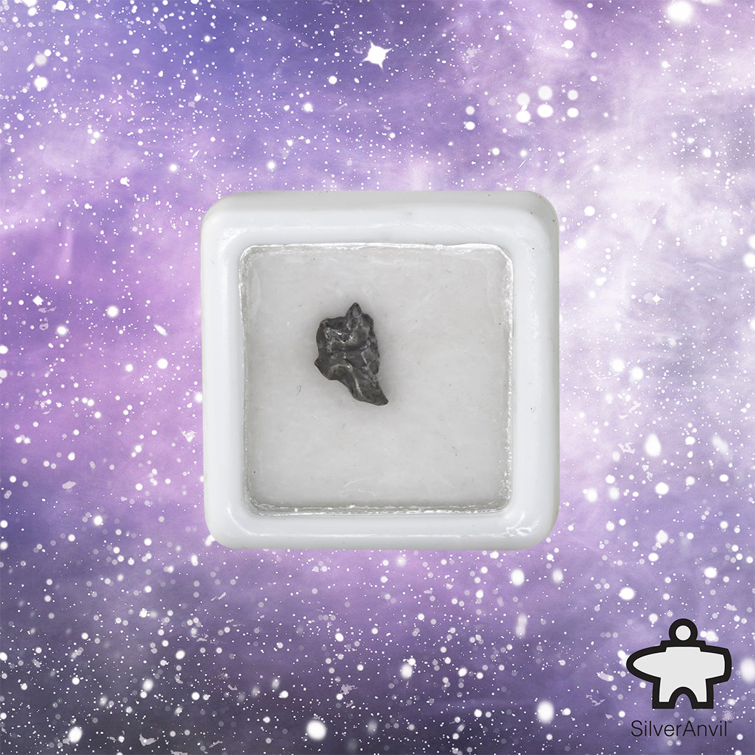 Small Meteorite