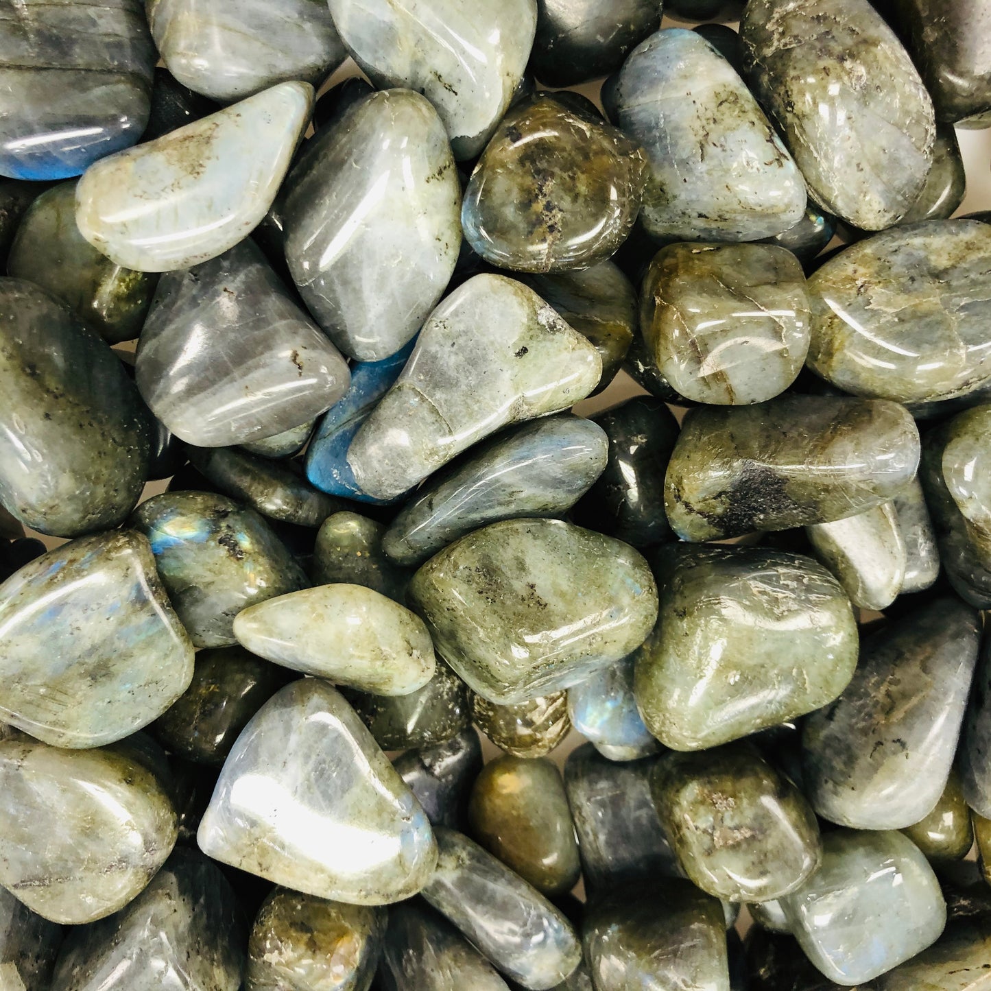 Labradorite