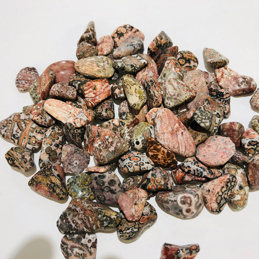 Leopard skin Jasper