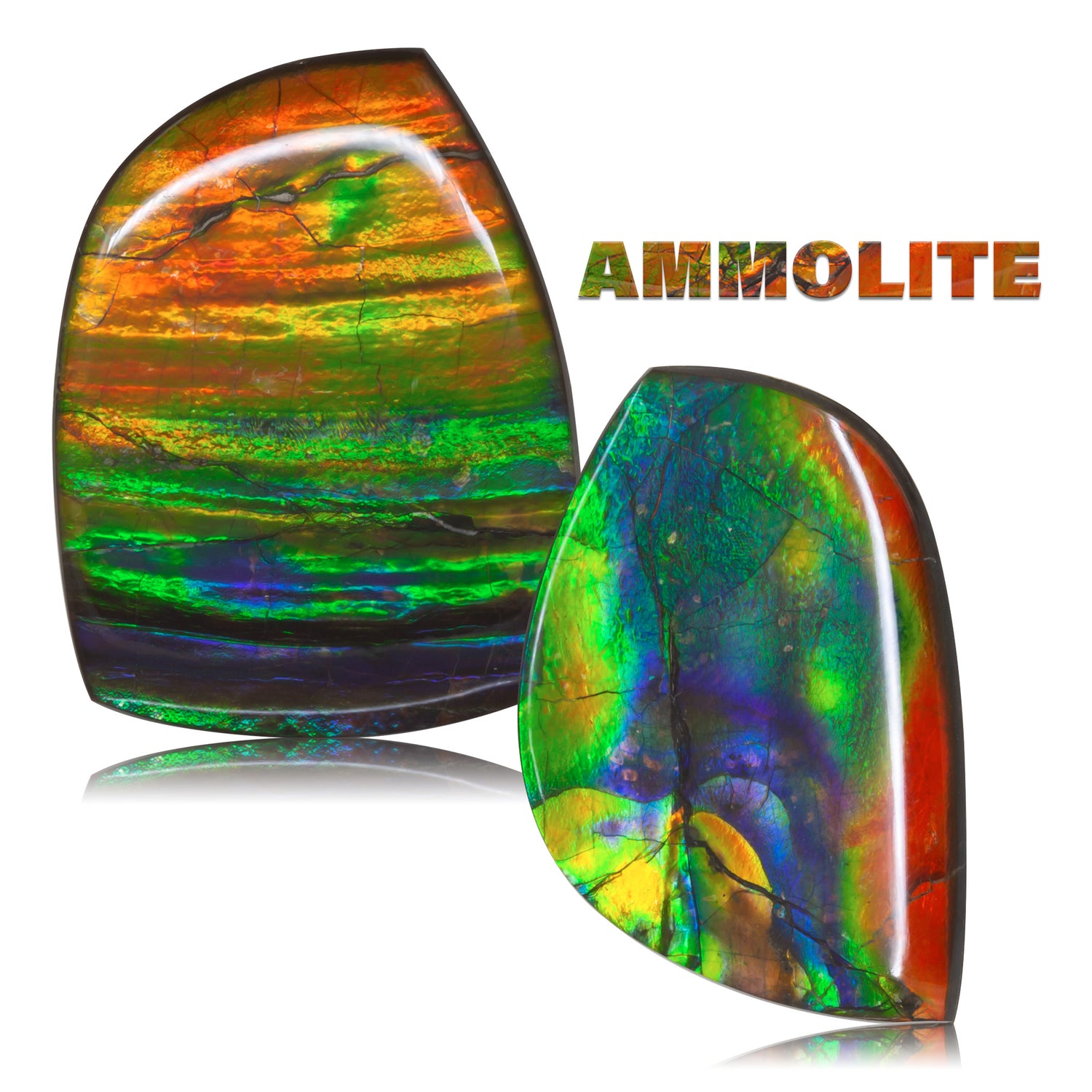 Ammolite Gems