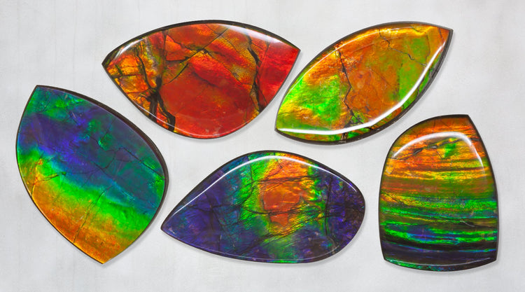 Ammolite Gems