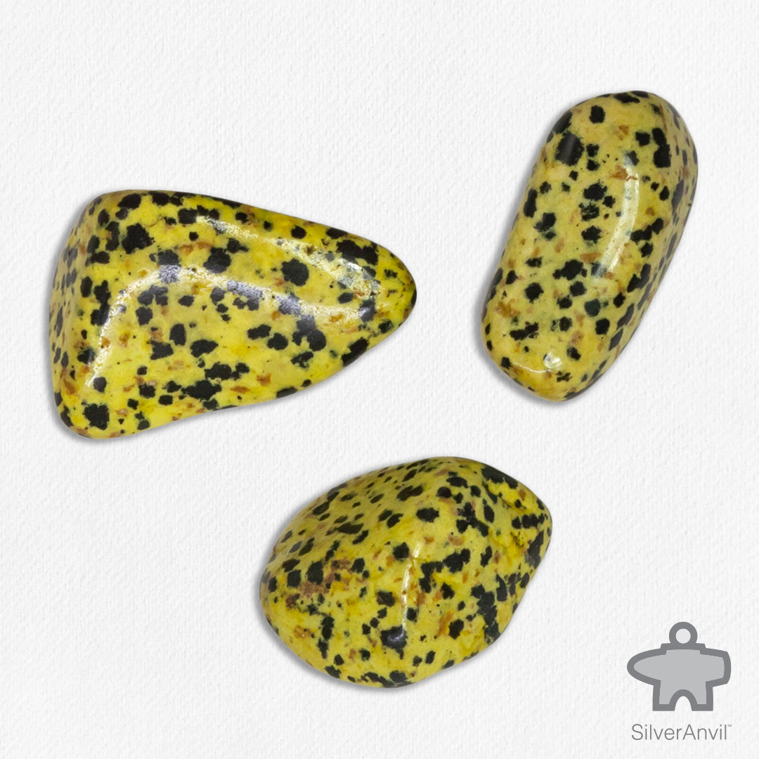 Yellow Dalmatian