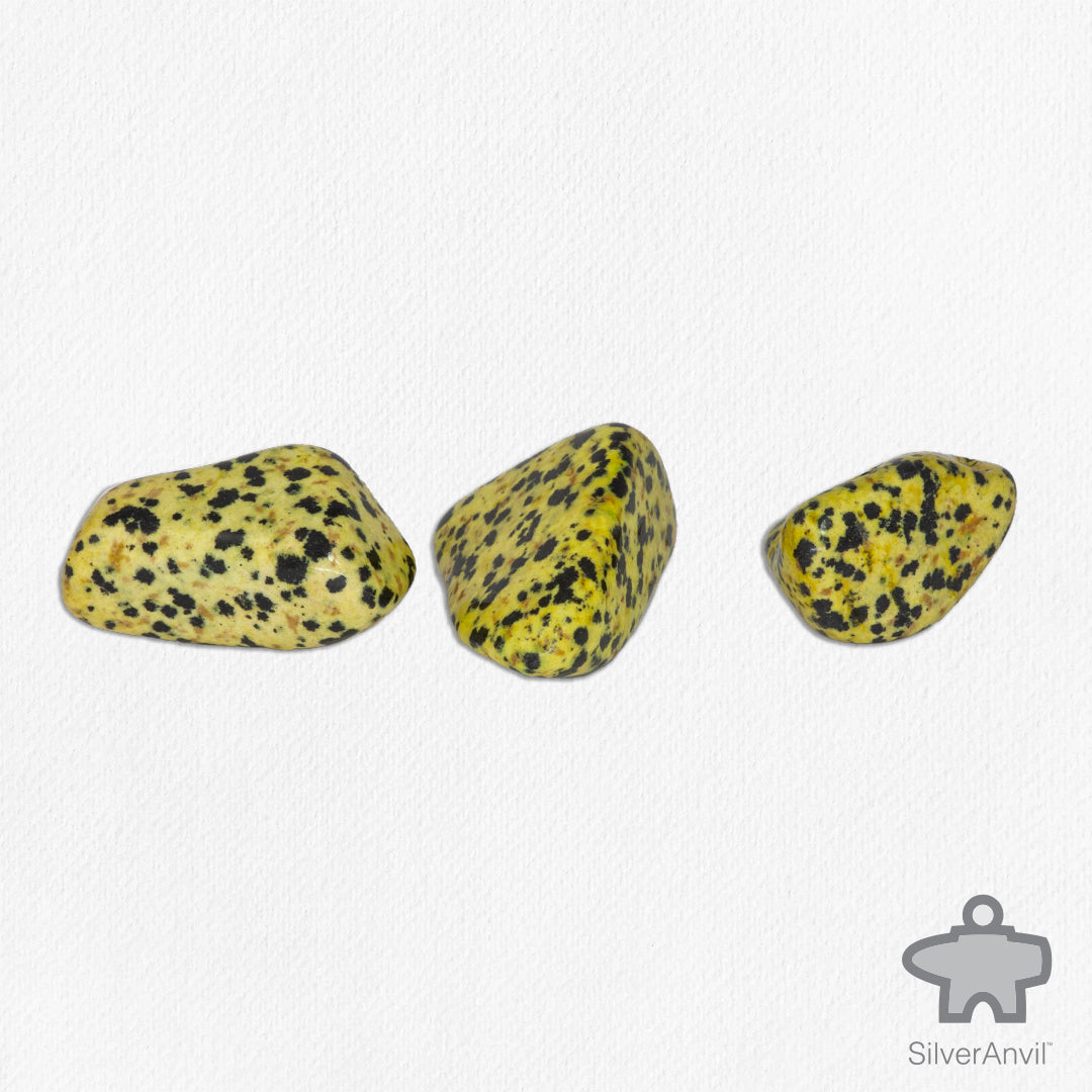 Yellow Dalmatian