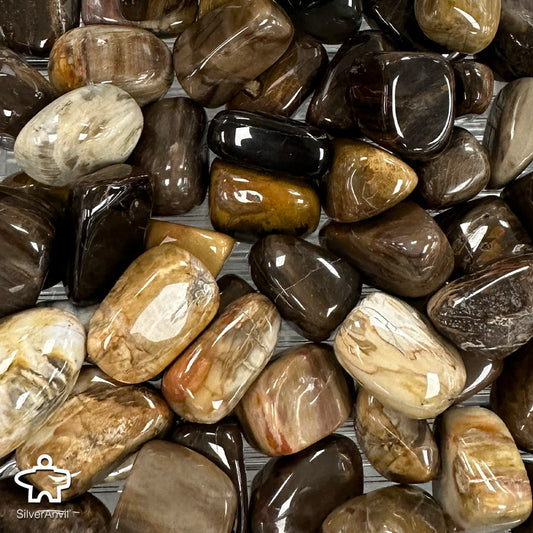 Petrified Wood