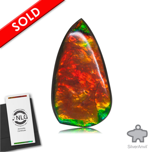 Ammolite Gem #002