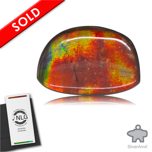 Ammolite Gem #005