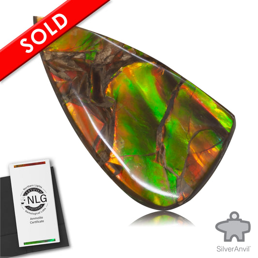 Ammolite Gem #014