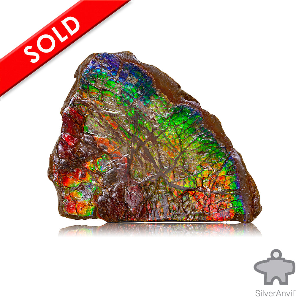 Rough Ammolite 001