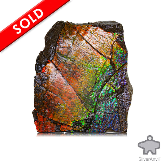 Rough Ammolite 005